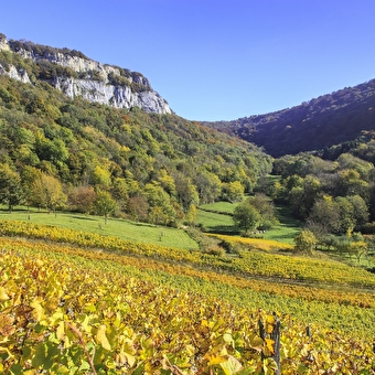 Balade à Lavigny - LAVIGNY