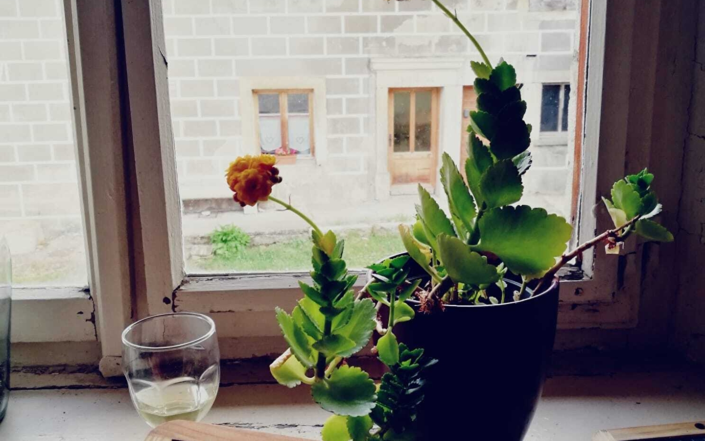 Initiation au chant harmonique et diphonique