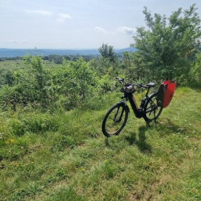 Circuit VTTAE n°10 (rouge) Coligny - Plateau de Vergongeat