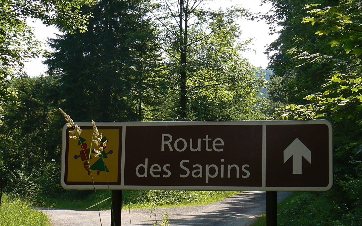 La Route des Sapins