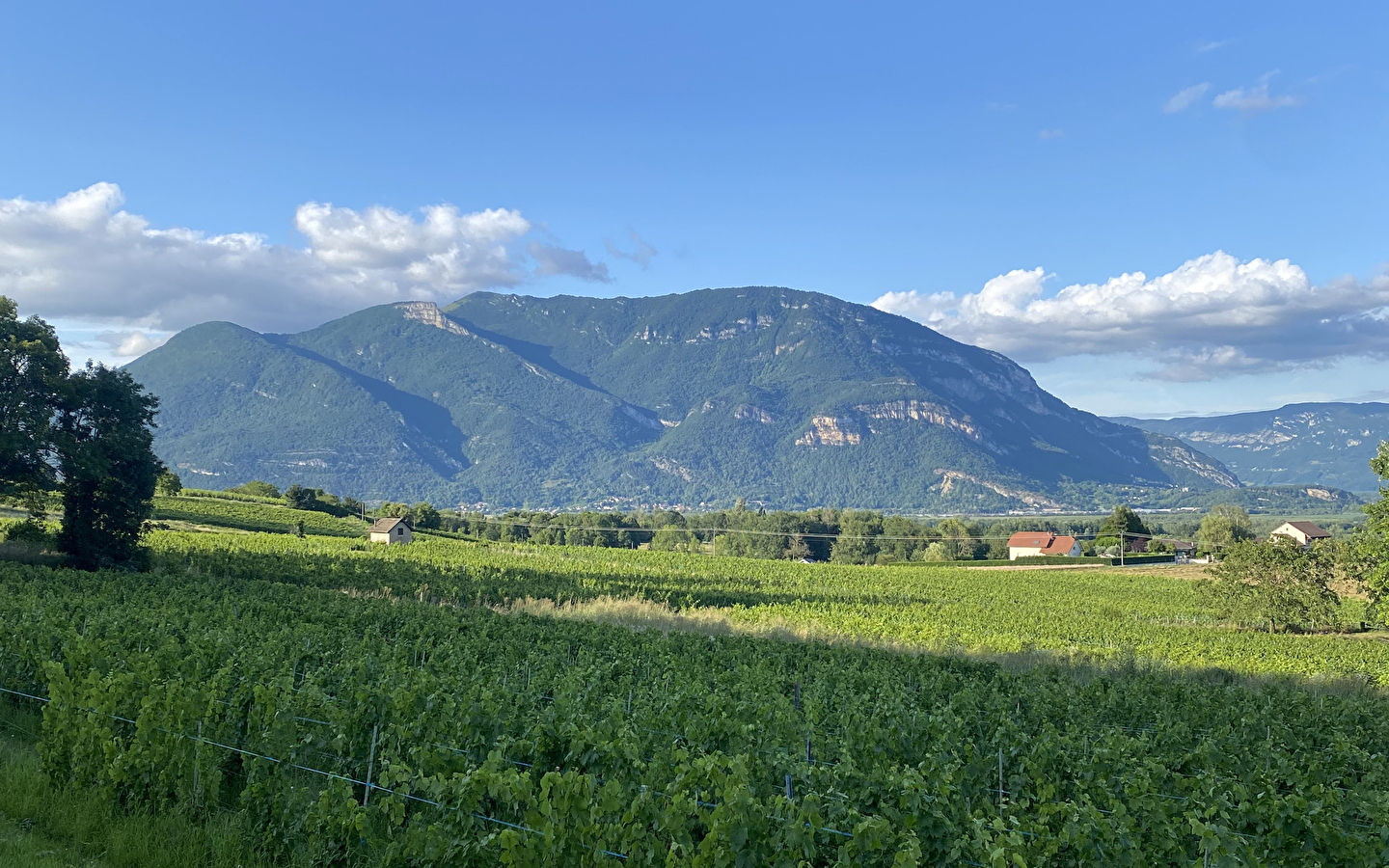 Circuit vélo : côteaux du Bugey et Plateau d'Hauteville