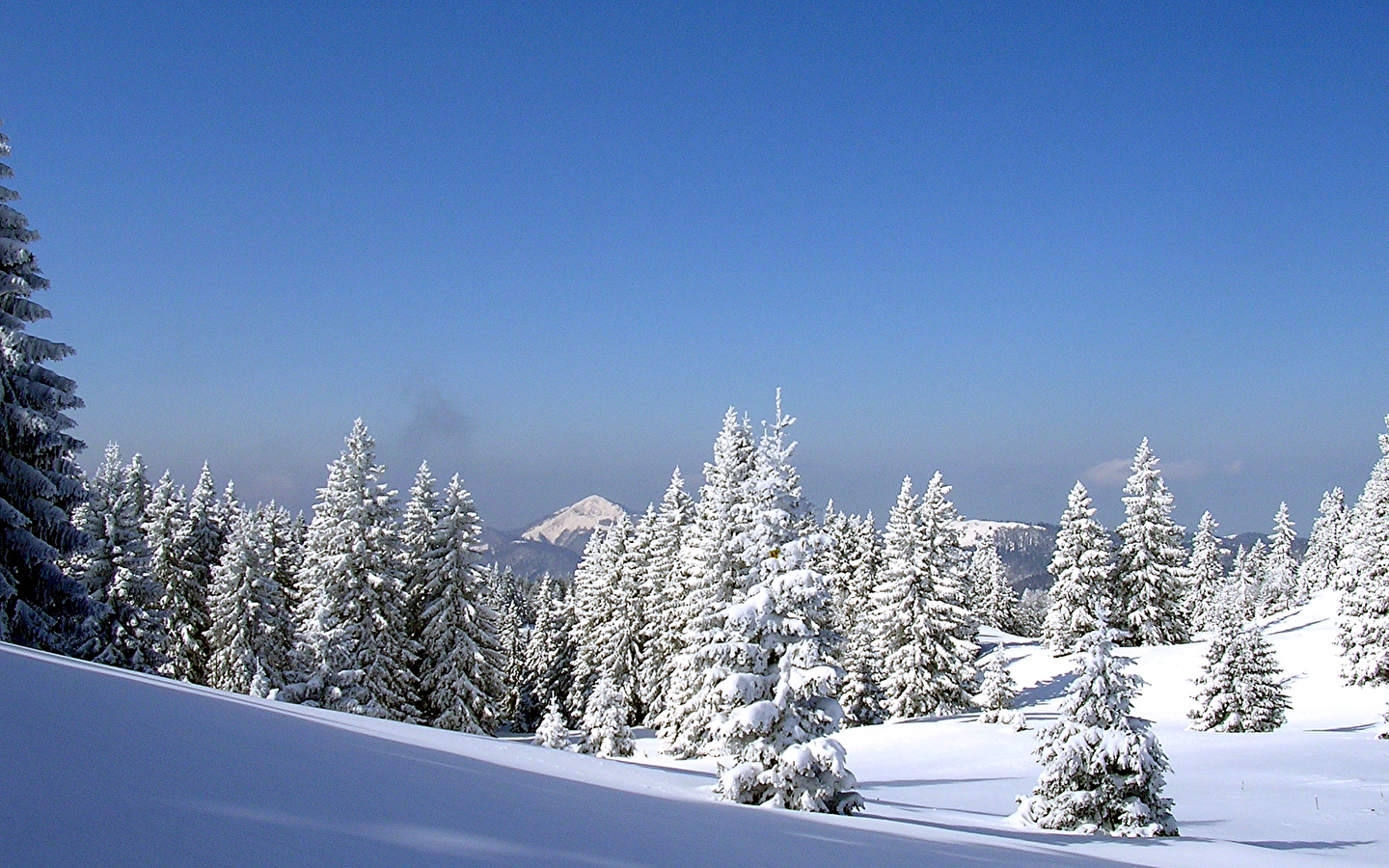 Site Nordique du Haut Saugeais Blanc