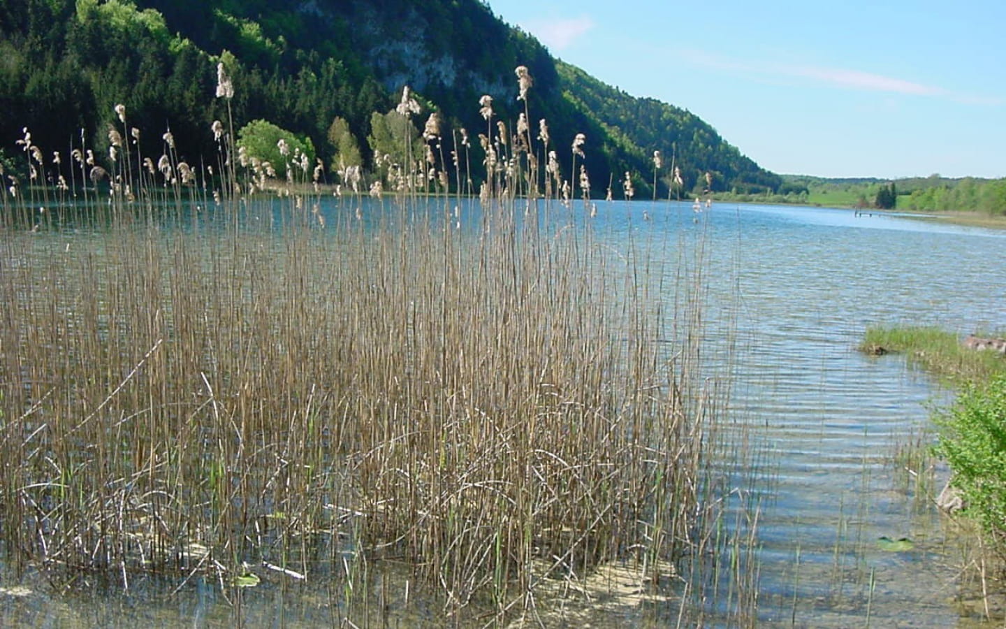 Belvédère sur les lacs d'étival