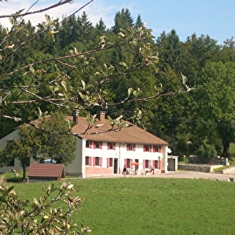 Améthyste - LAMOURA