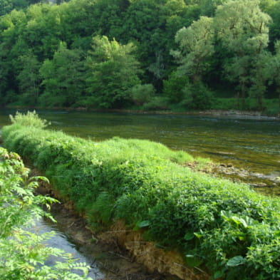 Le Moulin