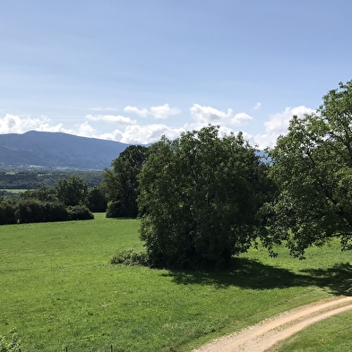 Gîte de l'Ain t'y piques
