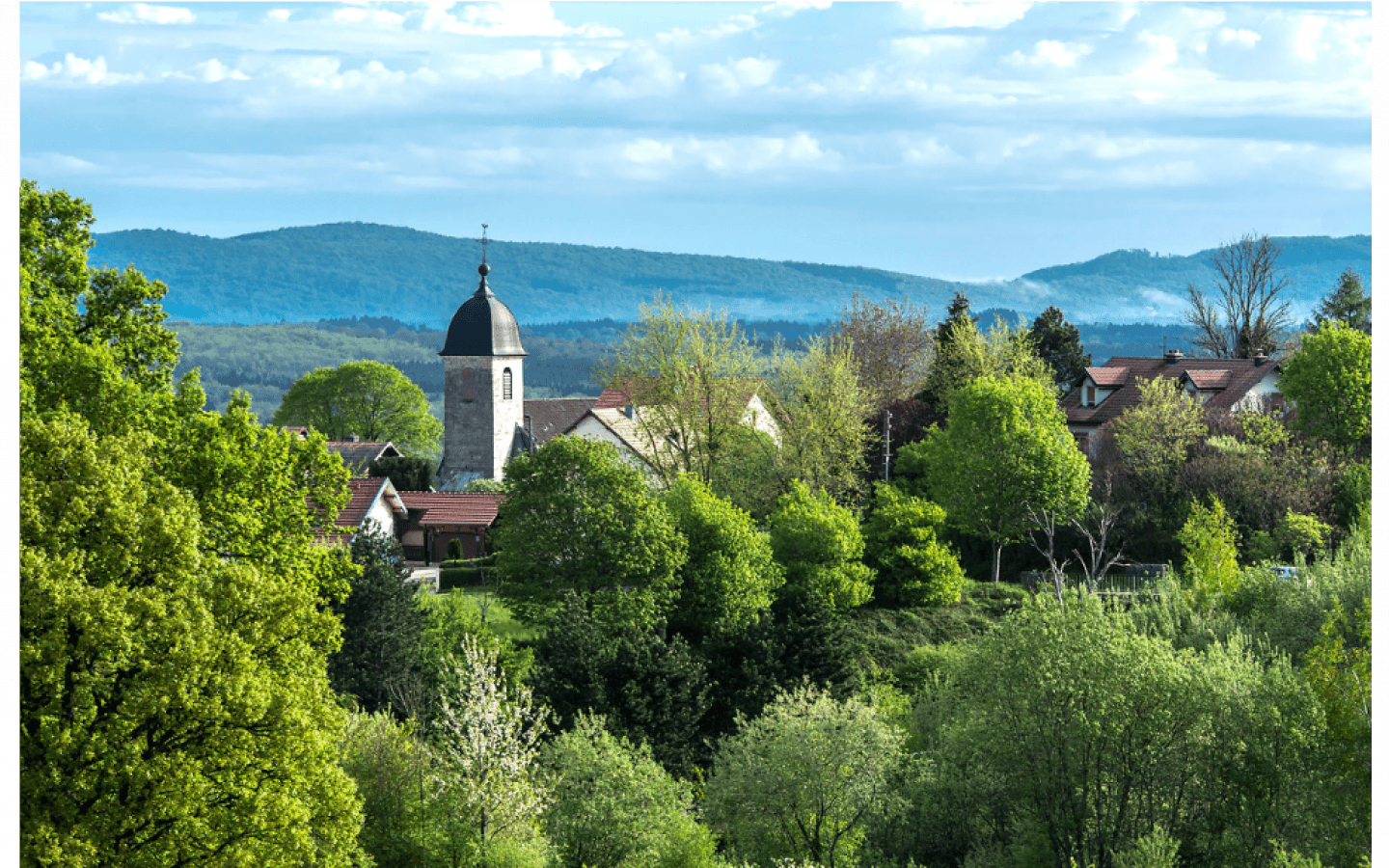 Sentier du Bois de la Fougère