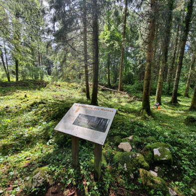 Le sentier de Cessay