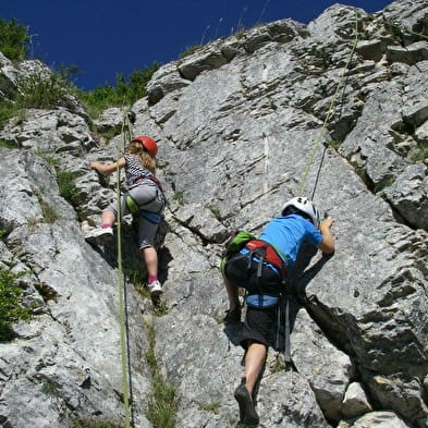 Site naturel ' La clairière des petits lapins'