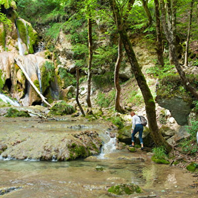 Cascade de Clairefontaine