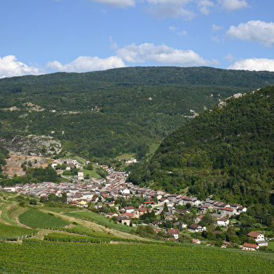Circuit des vignes à Cerdon