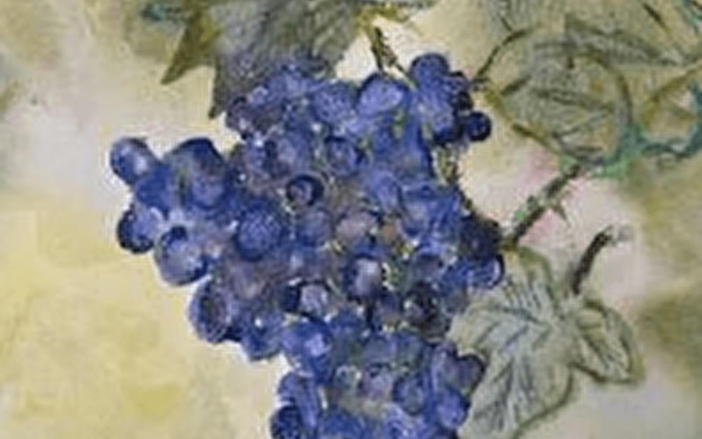 Exposition 'Voyage en aquarelles'