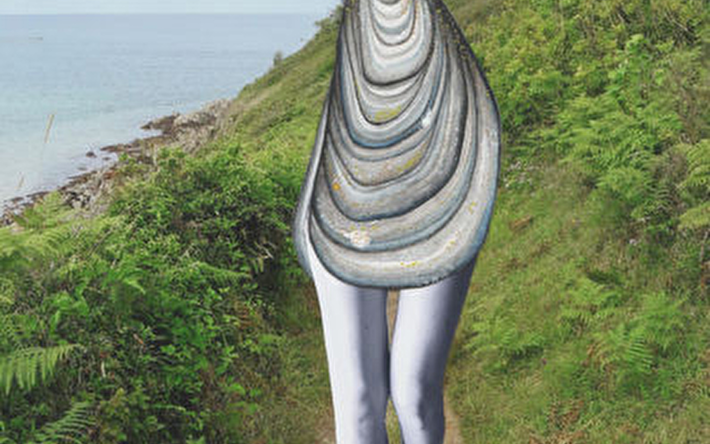 Exposition de Charlotte Begard