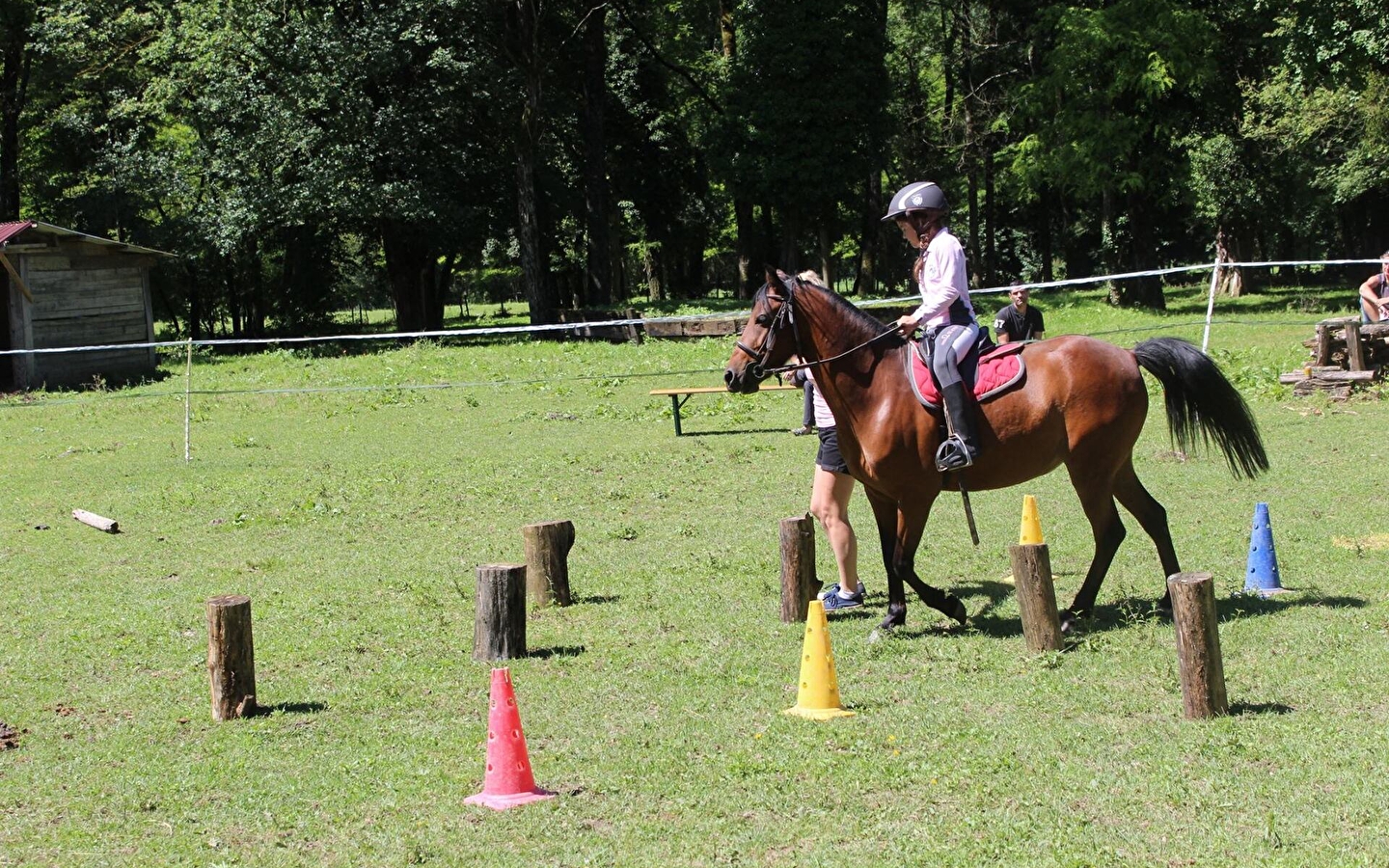 Découverte poney/cheval au Ranch des Balmettes