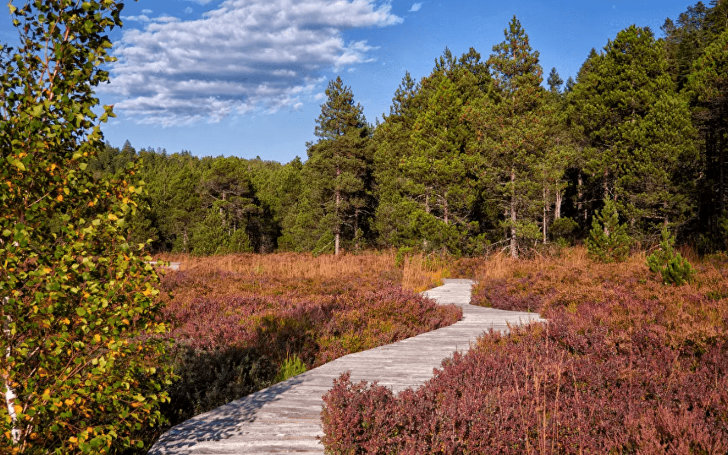 Séjour Rando/bien-être d'automne