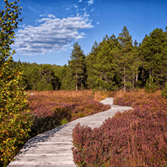Séjour Rando/bien-être d'automne -