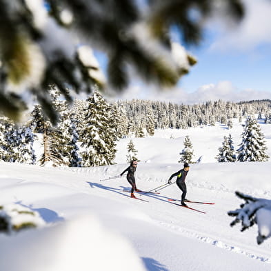 Le marais depuis La Praille - Piste verte de ski nordique