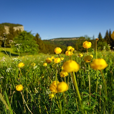 Boucle 9 : Lac de Lamoura-Valserine