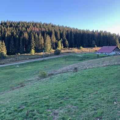 L'Auberge Au coeur des Rêves - Hébergement en dortoir