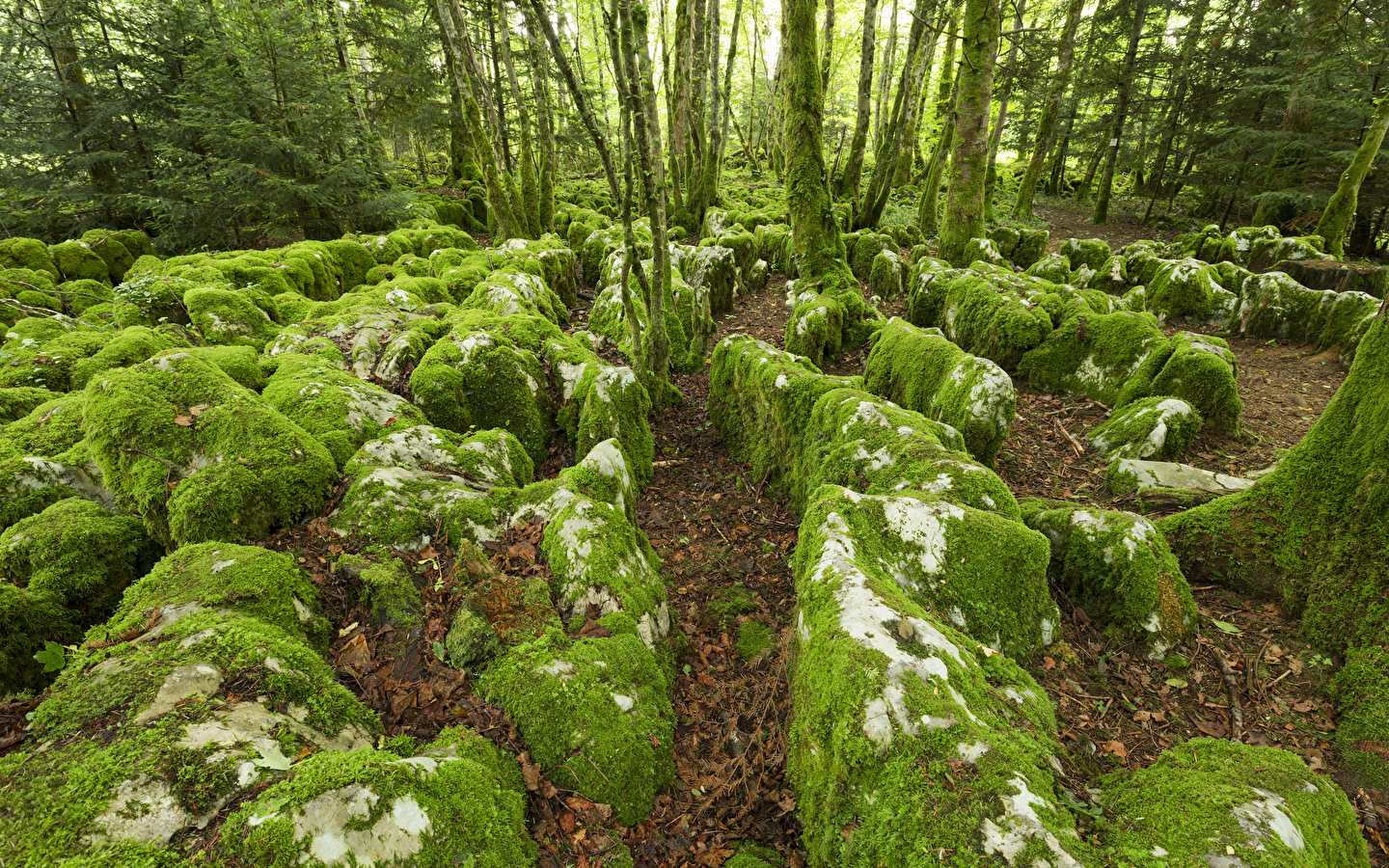 Le karst