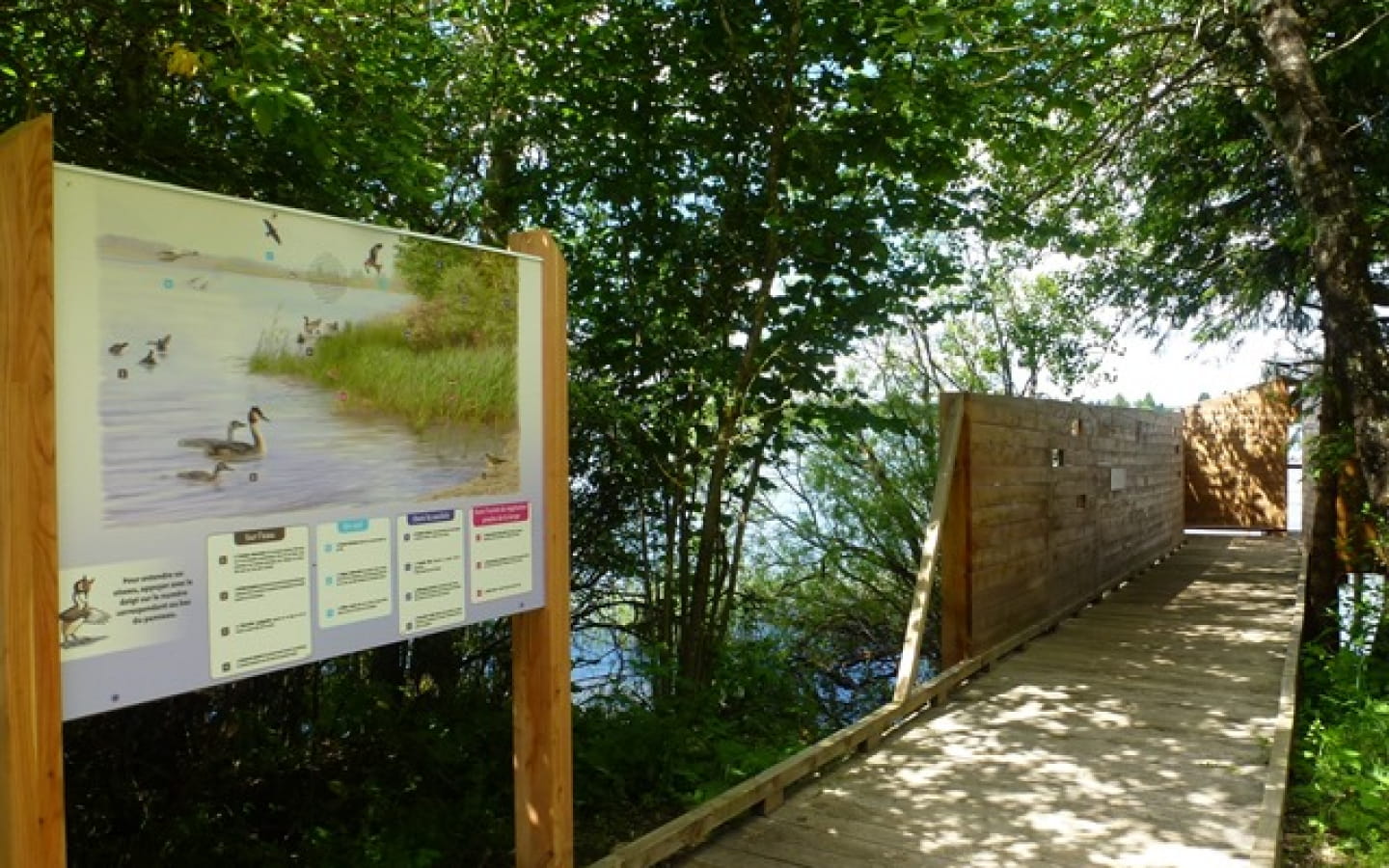 Le sentier des rives du lac du Bouverans