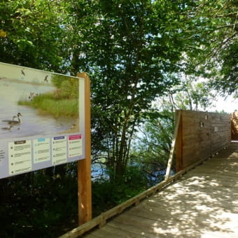 Le sentier des rives du lac du Bouverans - BOUVERANS