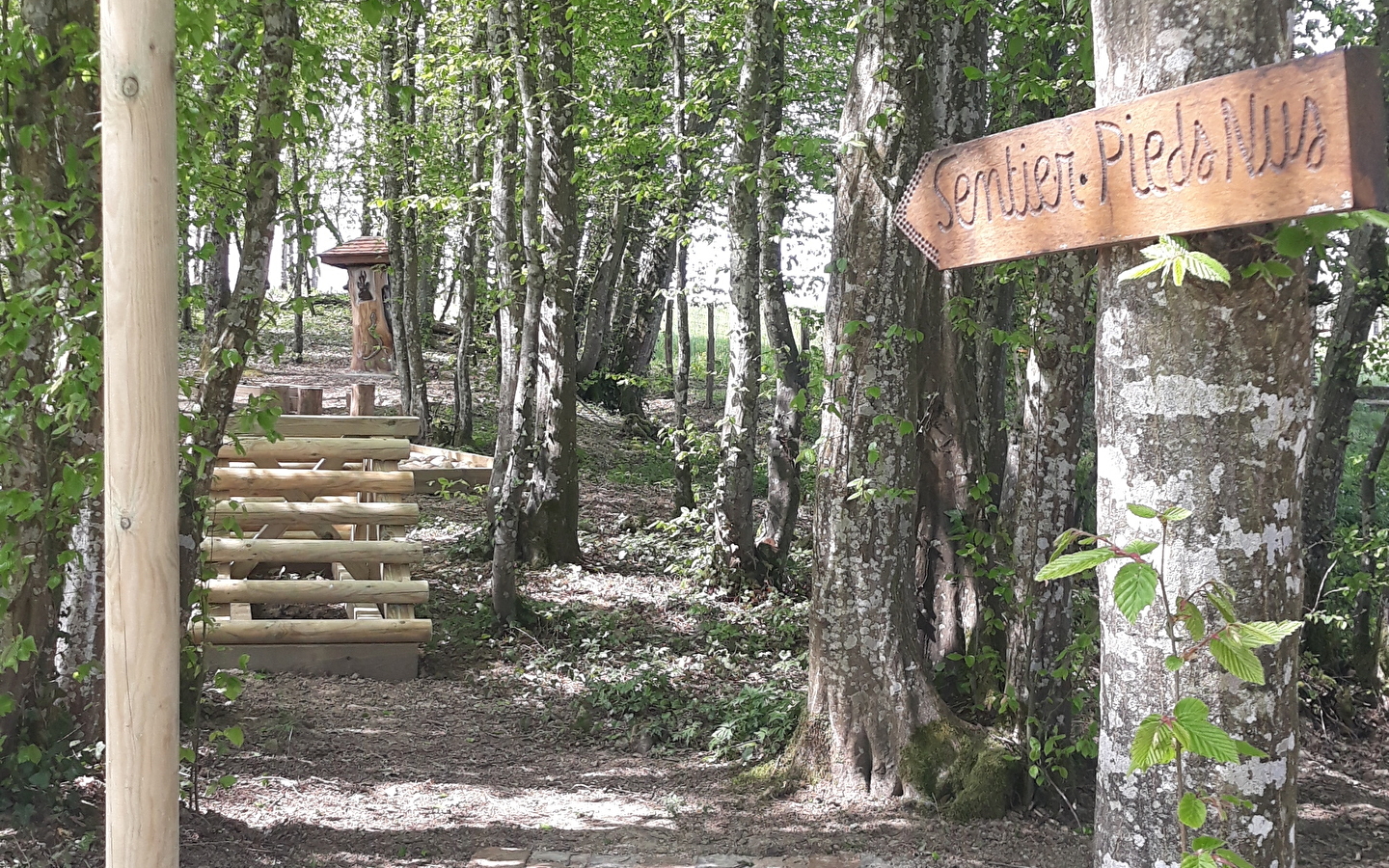 Sentier pieds-nus