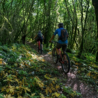 Le circuit Froide Fontaine - 109R - MOIRANS-EN-MONTAGNE