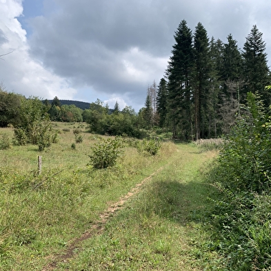 Randonnée - Le petit tour du plateau de Chamoise
