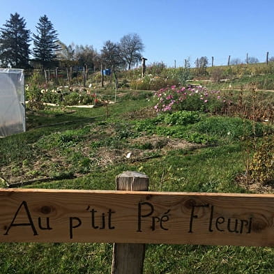 Au P'tit Pré Fleuri