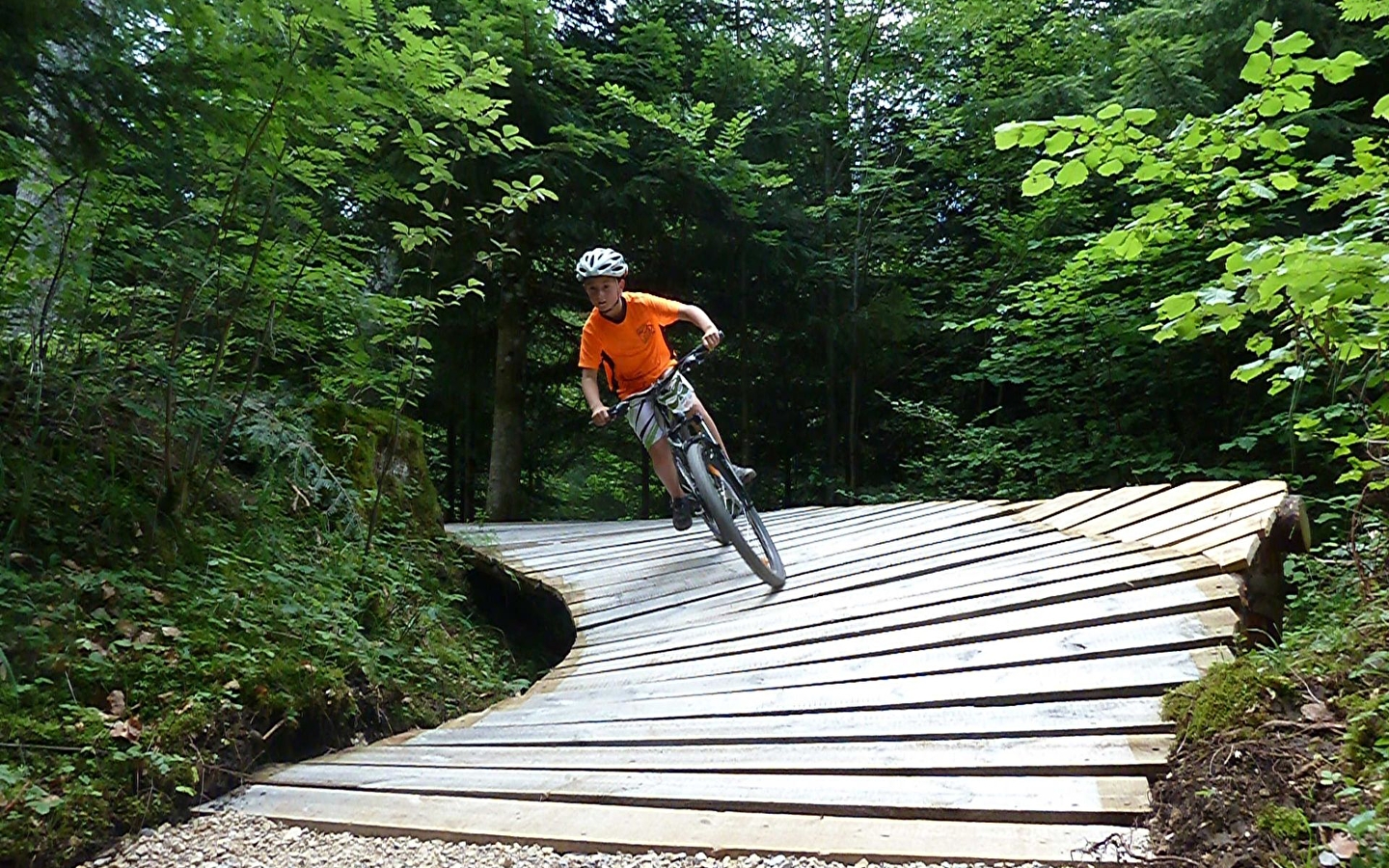 Stage VTT de descente et DH