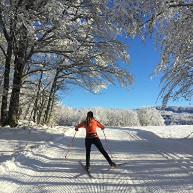 Piste bleue de ski de fond du Plateau de Retord : Le Balcon des Plans