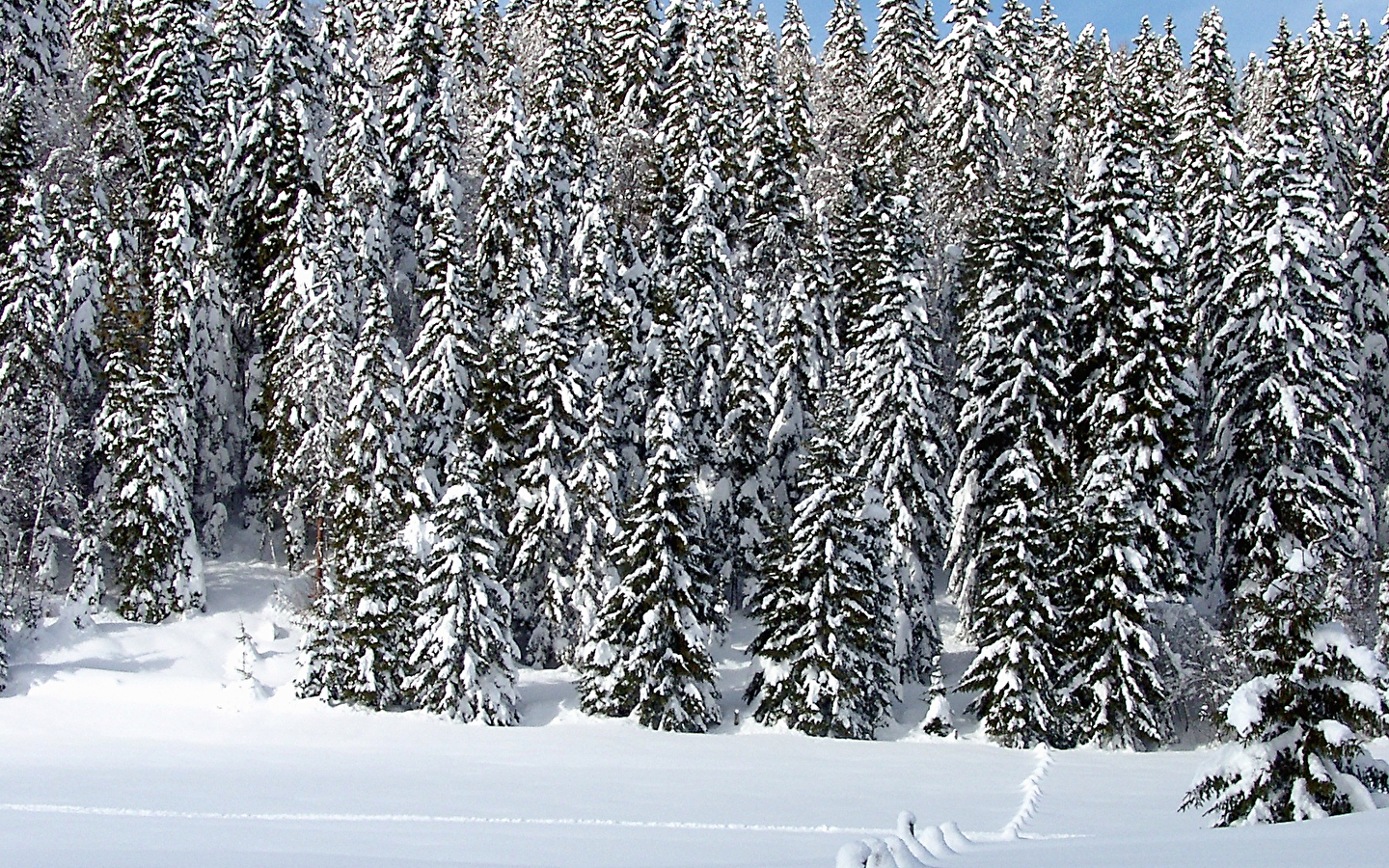 Site Nordique de La Cernay Blanche