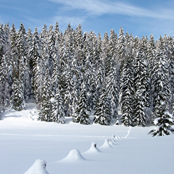Site Nordique de La Cernay Blanche - LA CHAUX