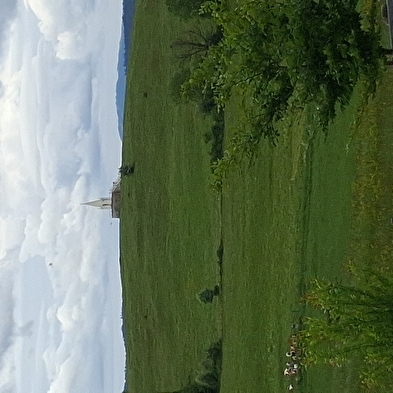 Le Grand-Bois - n°111