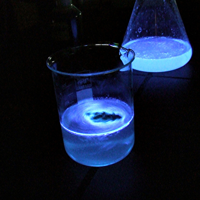 Atelier famille : Et si on faisait le vide ?