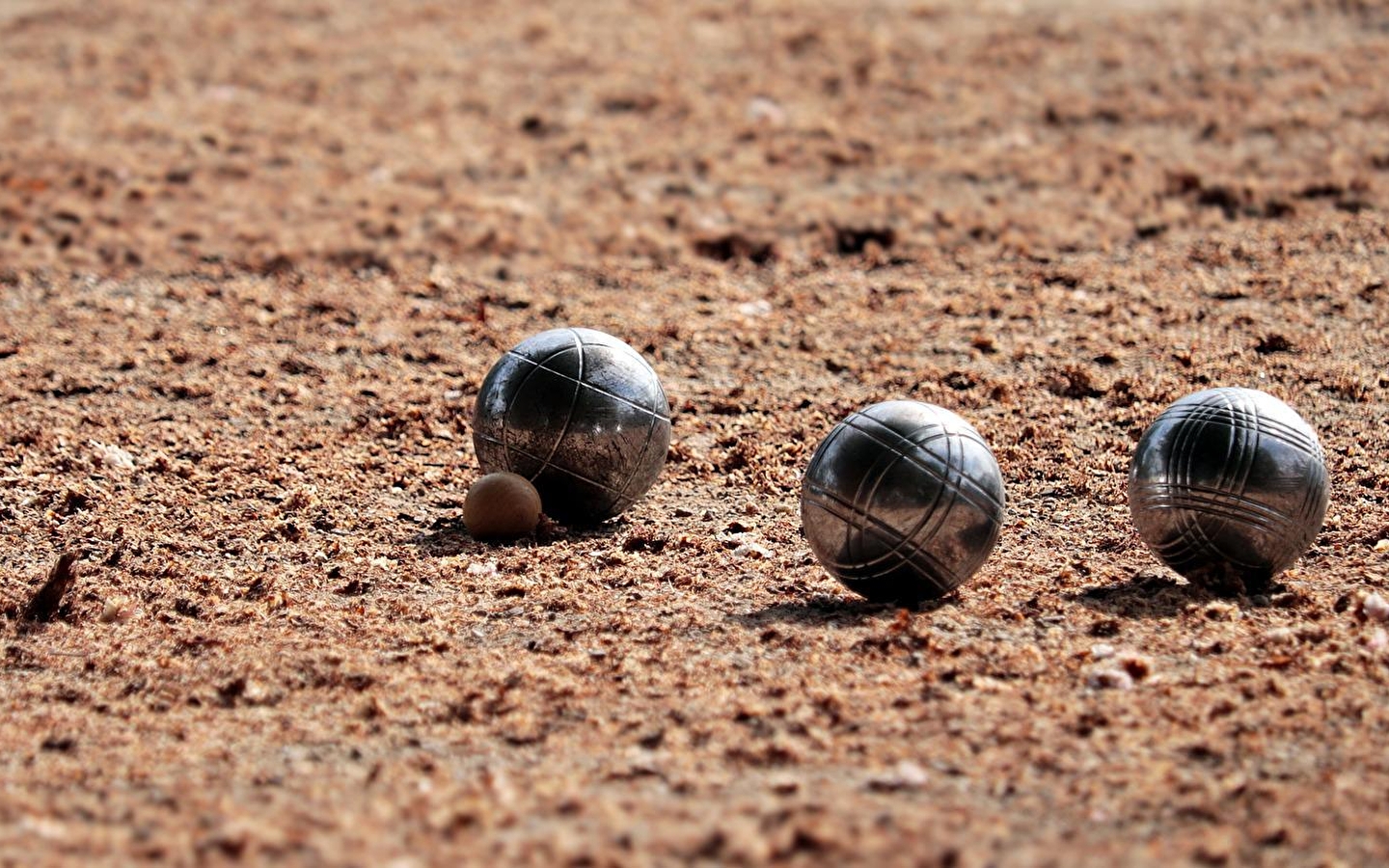 Concours de pétanque