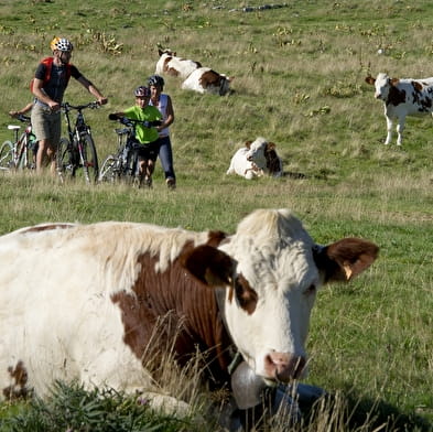 Parcours VTT 31 bleu - Les fermes de Retord - Espace FFC Ain Forestière