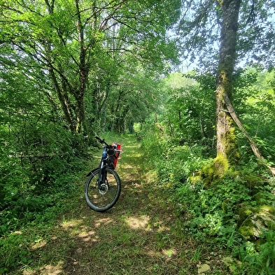 Circuit VTTAE n°10 (rouge) Coligny - Plateau de Vergongeat