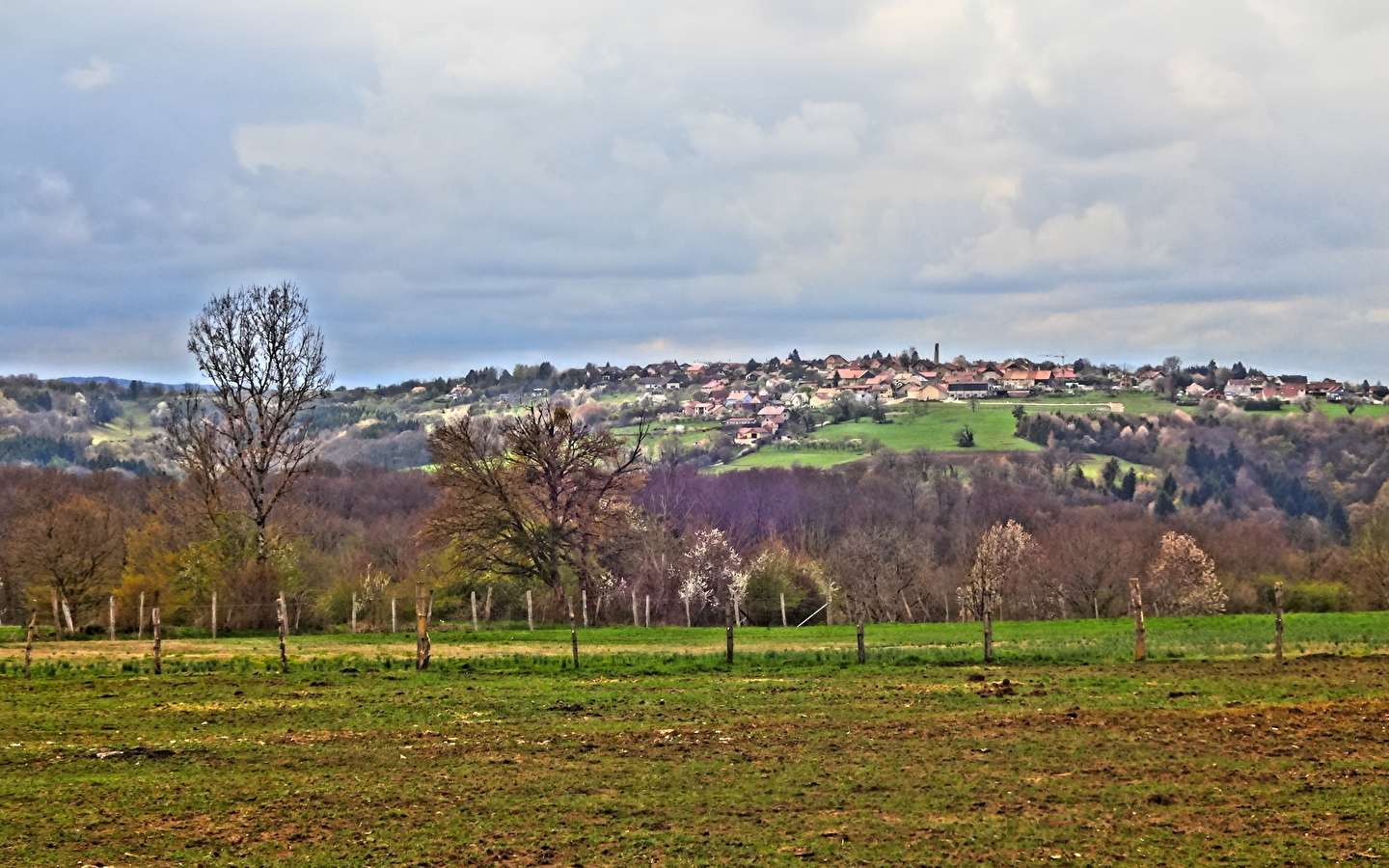 Le bois de Villars-sous-Écot et le Monument du Maquis
