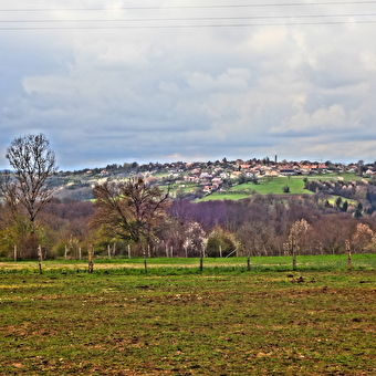 Le bois de Villars-sous-Écot et le Monument du Maquis - PONT-DE-ROIDE-VERMONDANS