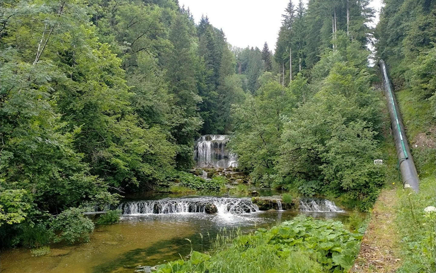 Source de l'Ain