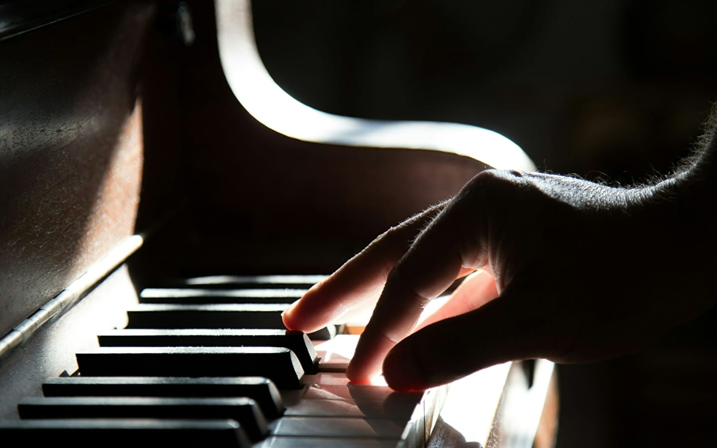 Musique de chambre et piano solo