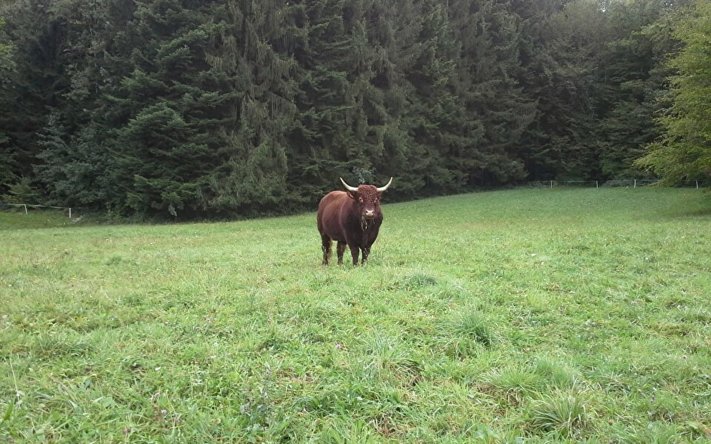 La Ferme de la Côte