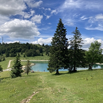 Sentier du Lac aux Crêtes du Mont d'Or - LONGEVILLES-MONT-D'OR