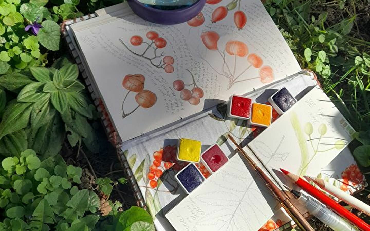 Journée carnet et dessin botanique