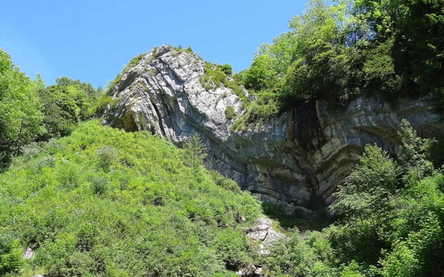 Au coeur du Parc naturel regional du Haut-Jura