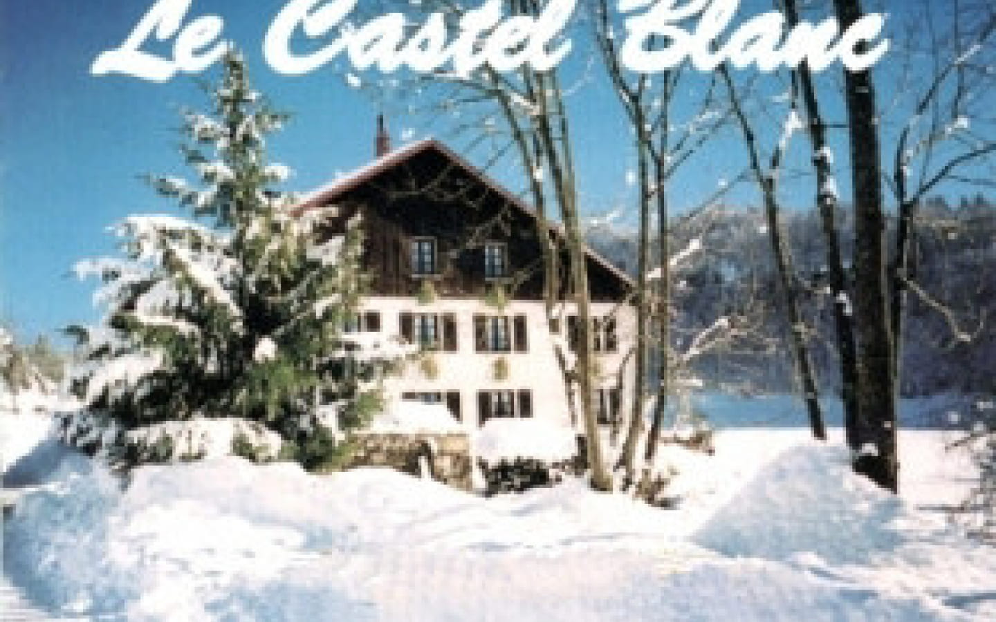 Appartement Le Castel Blanc - Le Mont Tendre