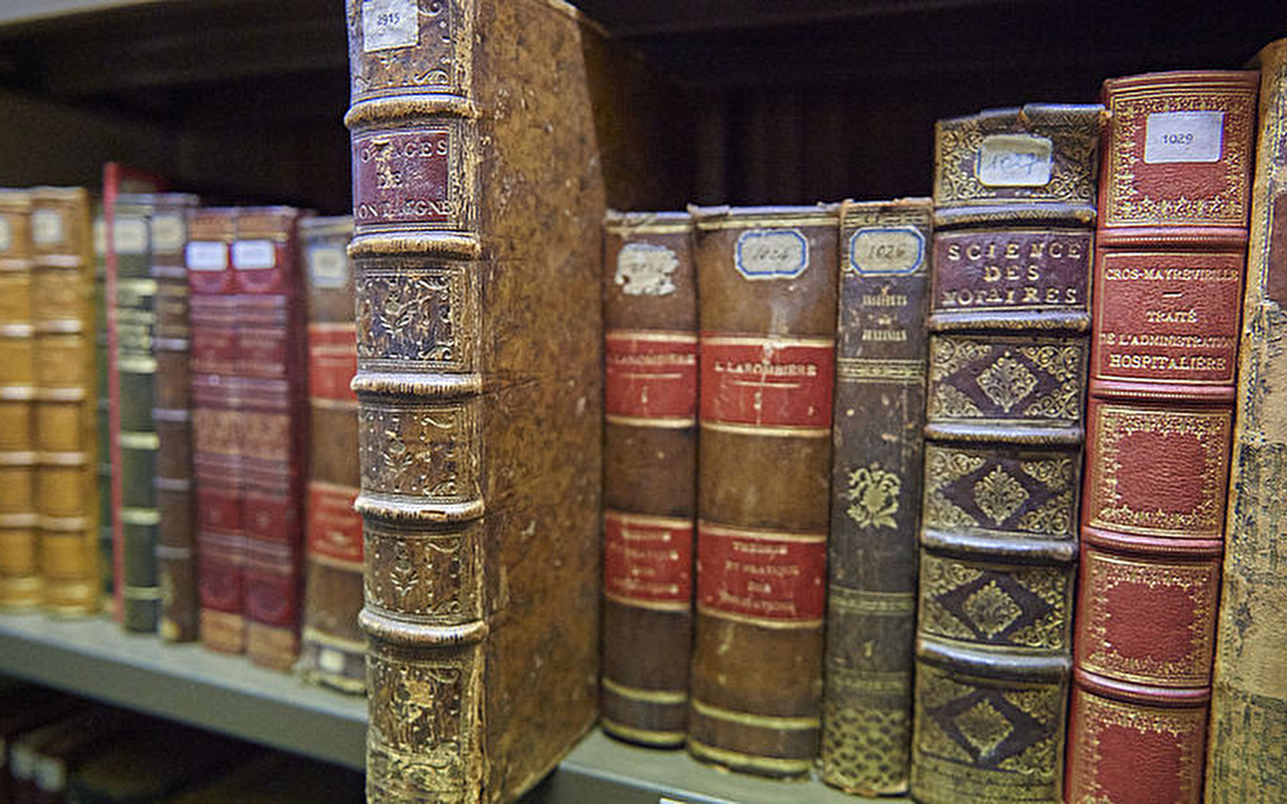 Découverte du fonds patrimonial