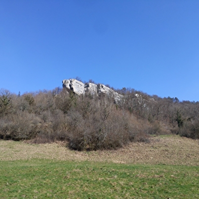 Sentier Courbet 7 : L'école de la nature